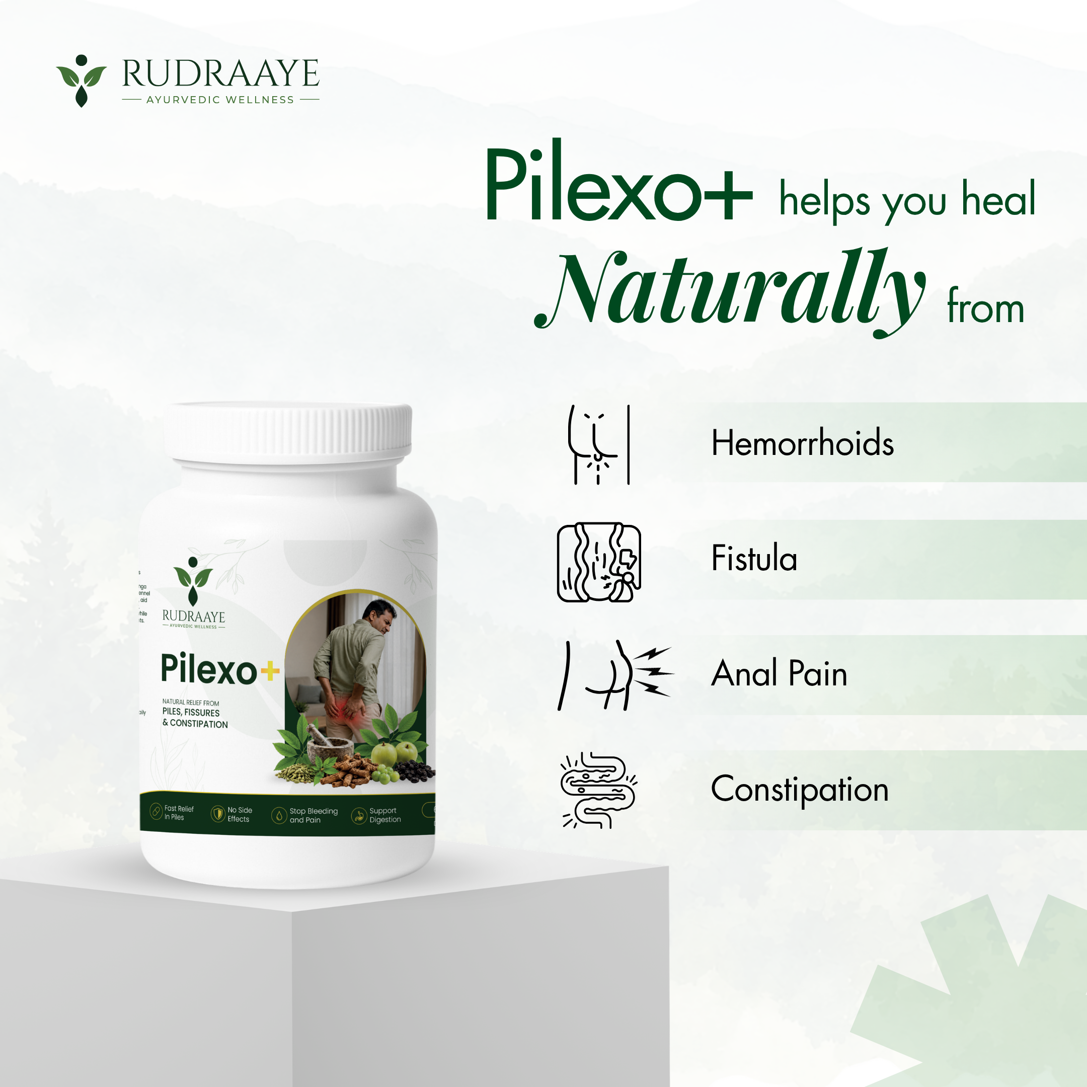 Rudraaye Piles Care, 100% Ayurvedic Pilexo Plus, 30+ Years Expertise