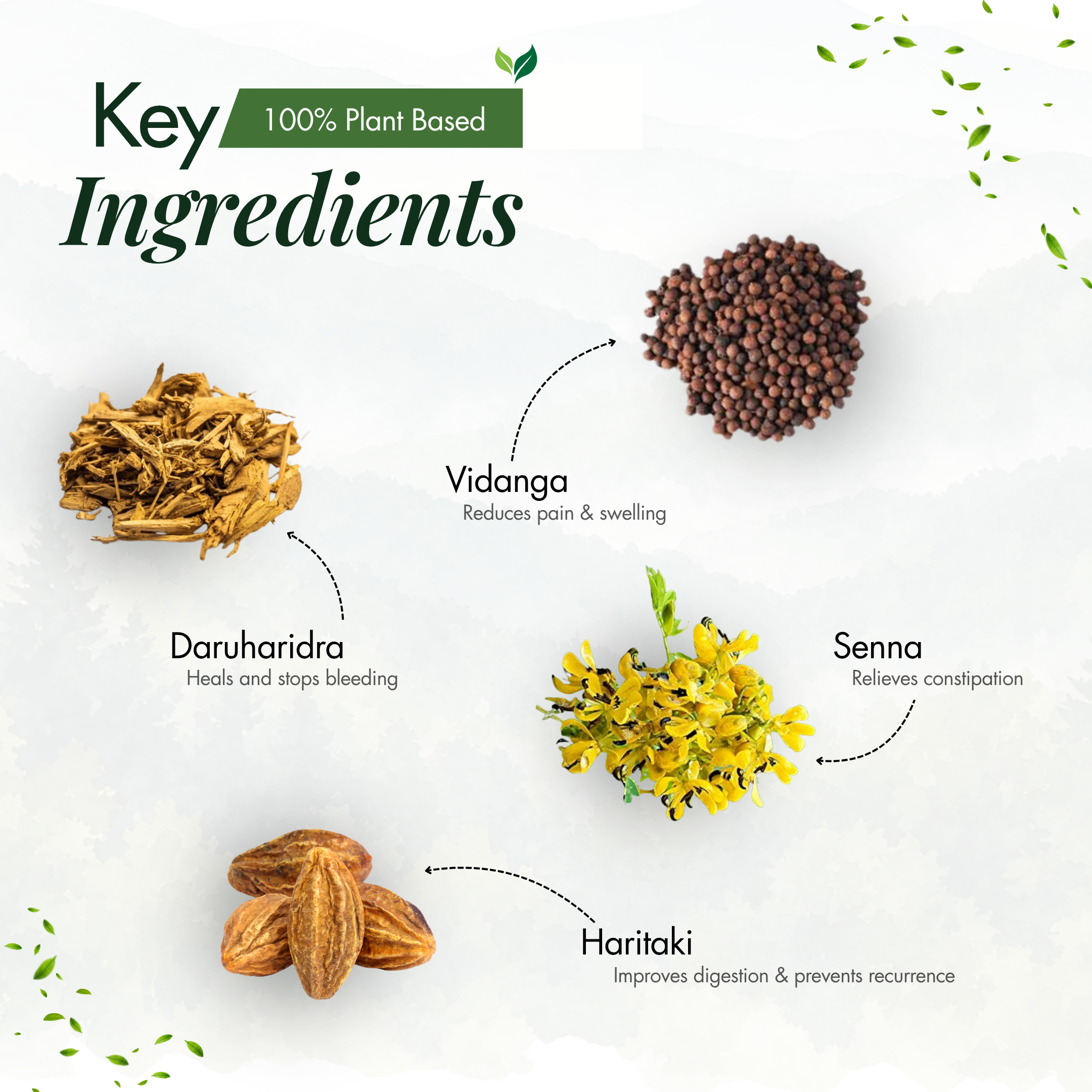 Rudraaye Piles Care, 100% Ayurvedic Pilexo Plus, 30+ Years Expertise