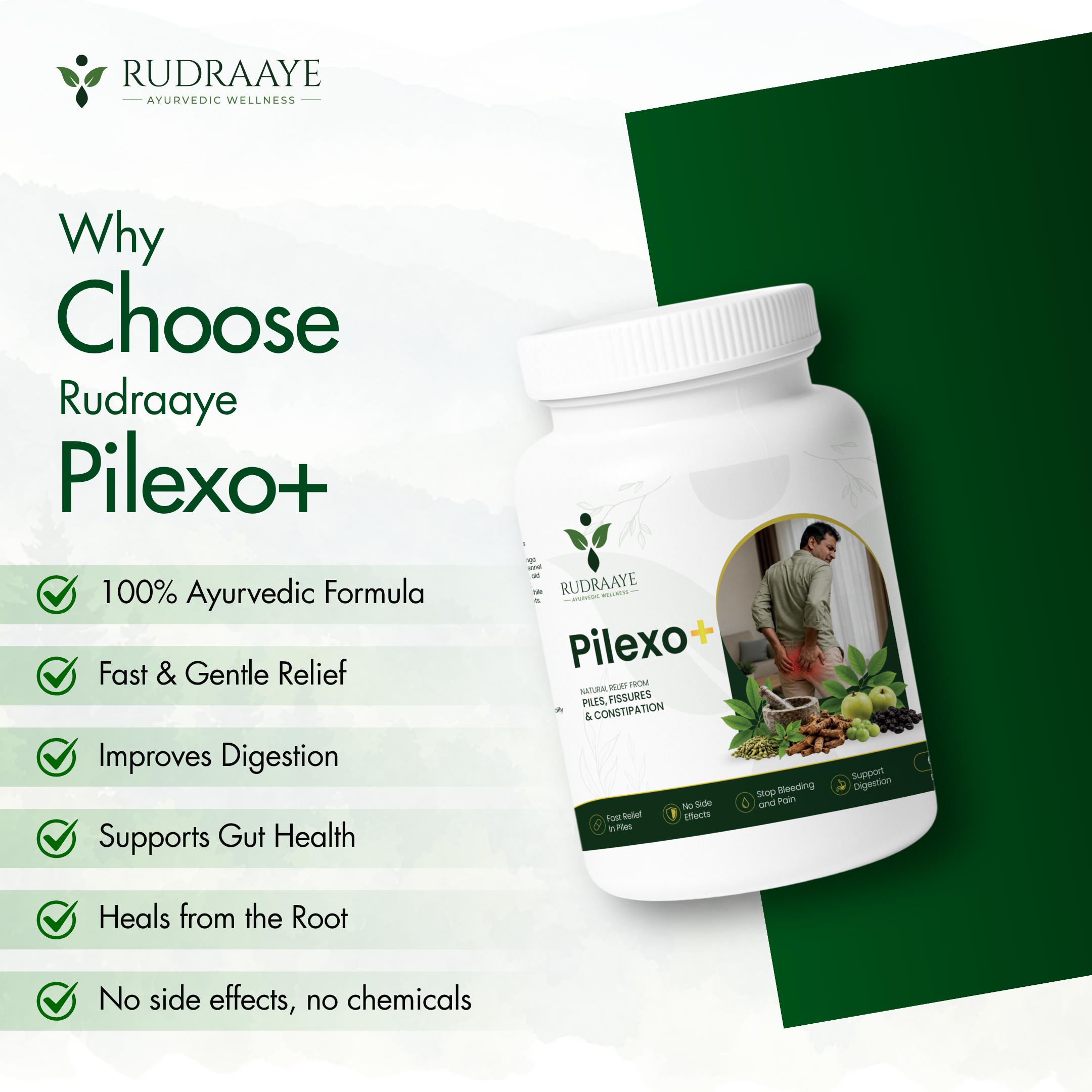 Rudraaye Piles Care, 100% Ayurvedic Pilexo Plus, 30+ Years Expertise